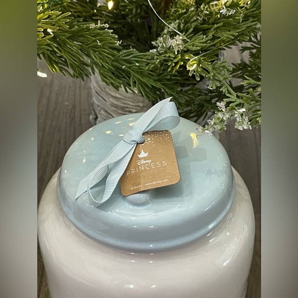 Rae Dunn Kitchen New Wtags Rae Dunn Disney Princess A Dream Come